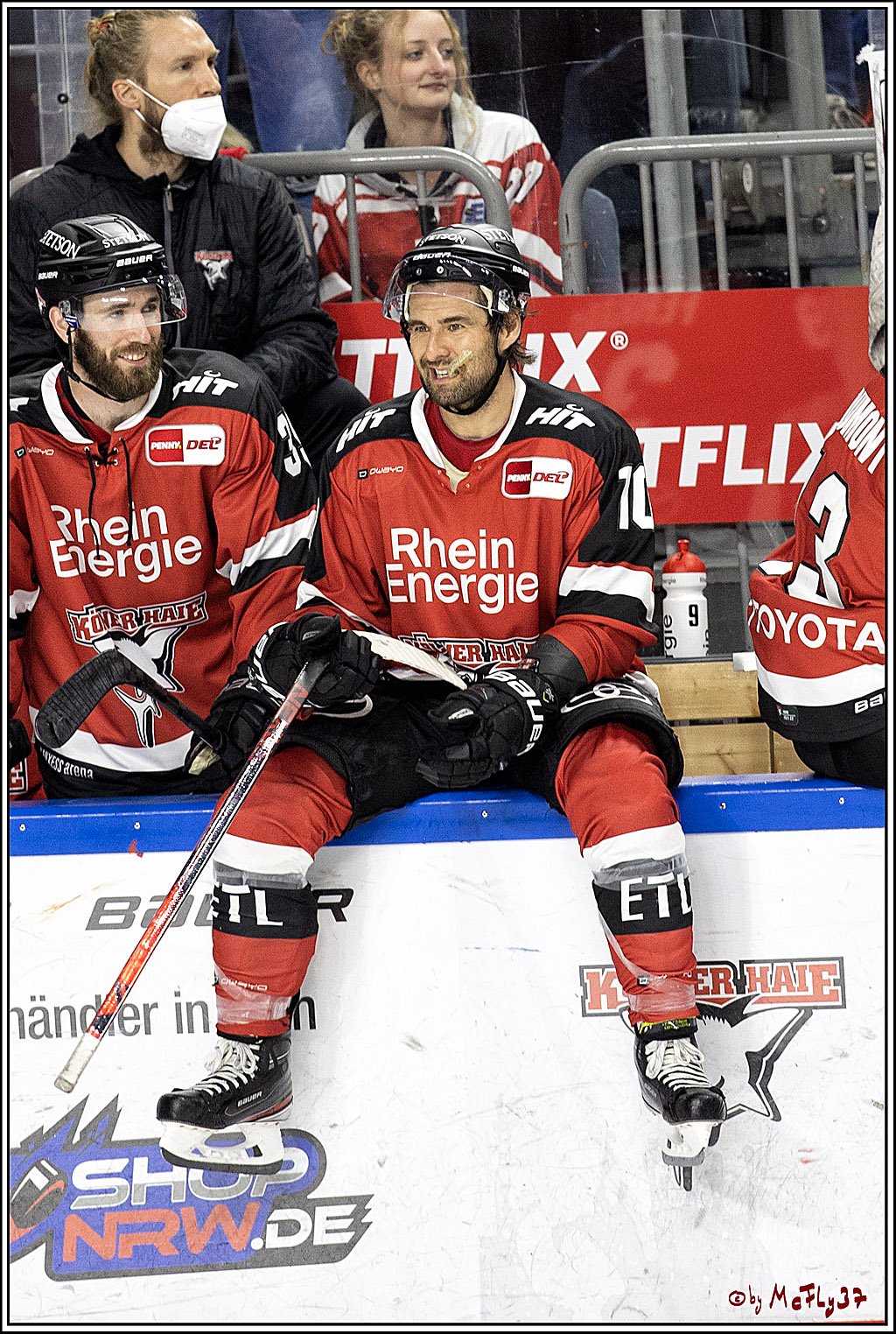 PENNY DEL;  Koelner Haie - Nuernberg Ice Tiger; Koeln, 21.09.2021